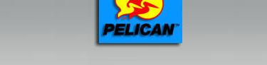Pelican